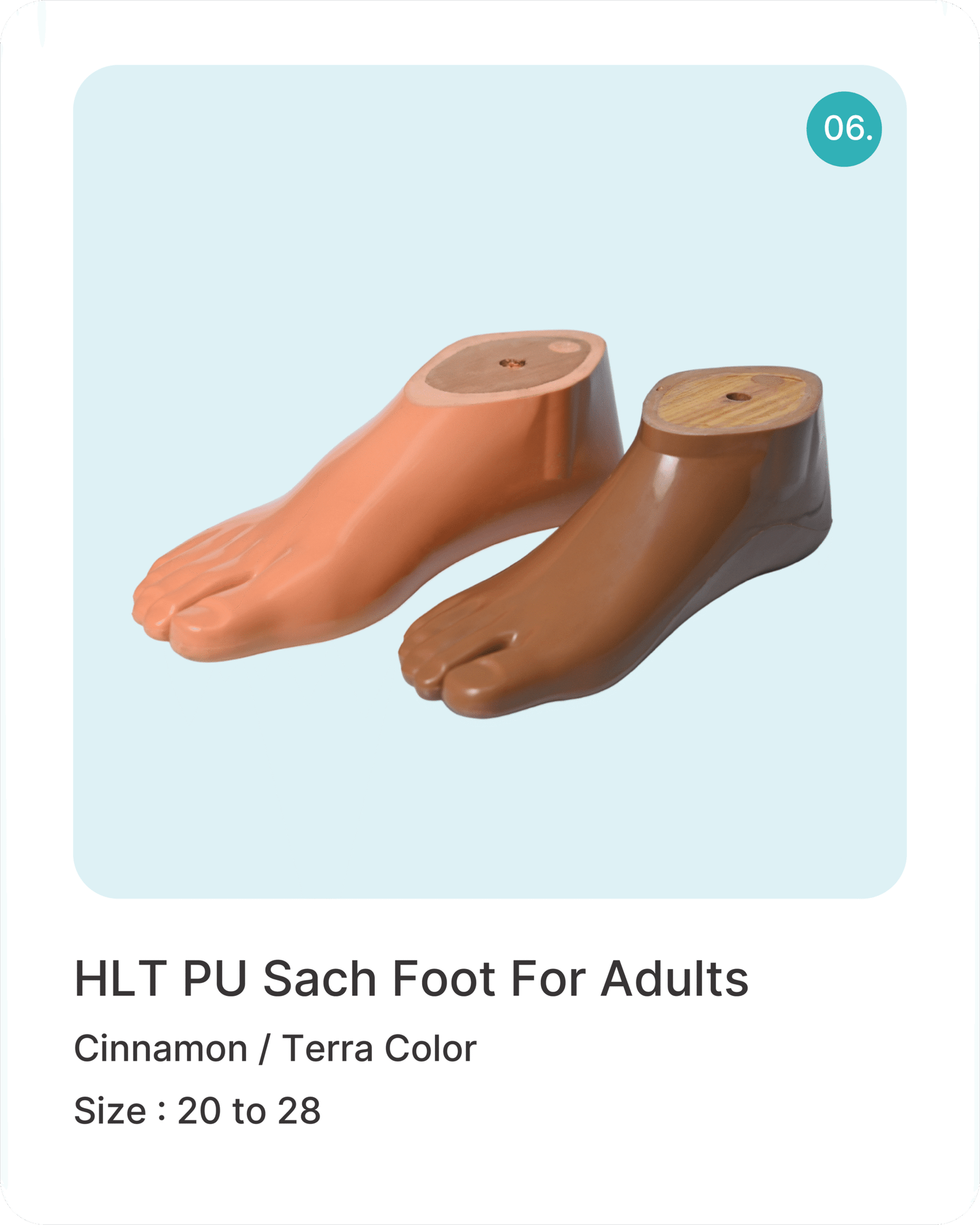 Featured Products.1-06